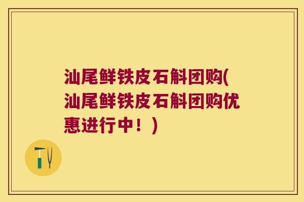 汕尾鲜铁皮石斛团购(汕尾鲜铁皮石斛团购优惠进行中！)