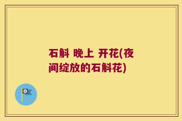 石斛 晚上 开花(夜间绽放的石斛花)