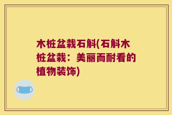 木桩盆栽石斛(石斛木桩盆栽：美丽而耐看的植物装饰)
