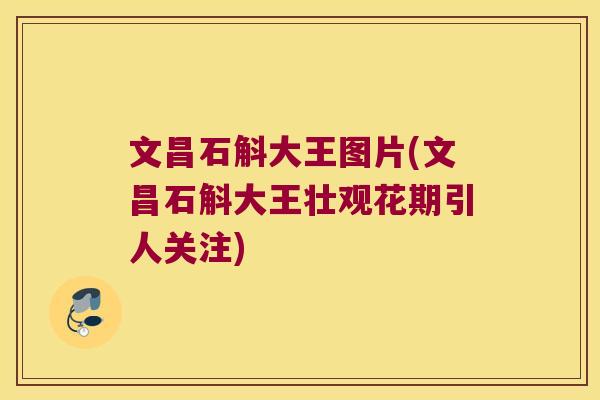文昌石斛大王图片(文昌石斛大王壮观花期引人关注)
