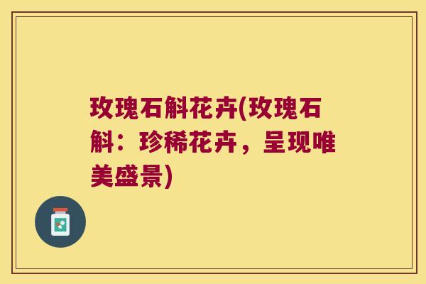 玫瑰石斛花卉(玫瑰石斛：珍稀花卉，呈现唯美盛景)