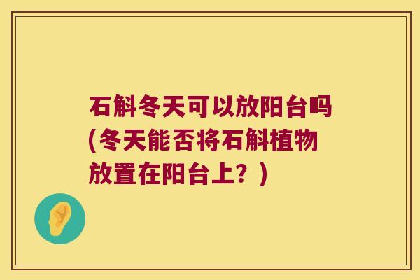 石斛冬天可以放阳台吗(冬天能否将石斛植物放置在阳台上？)