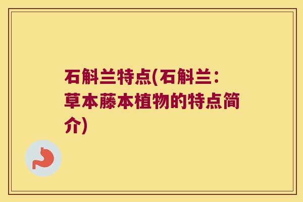 石斛兰特点(石斛兰:草本藤本植物的特点简介) 石斛兰特点(石斛兰:草本藤本植物的特点简介)
