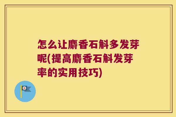 怎么让麝香石斛多发芽呢(提高麝香石斛发芽率的实用技巧) 怎么让麝香石斛多发芽呢(提高麝香石斛发芽率的实用技巧)