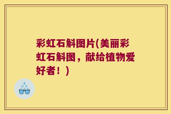 彩虹石斛图片(美丽彩虹石斛图，献给植物爱好者！)