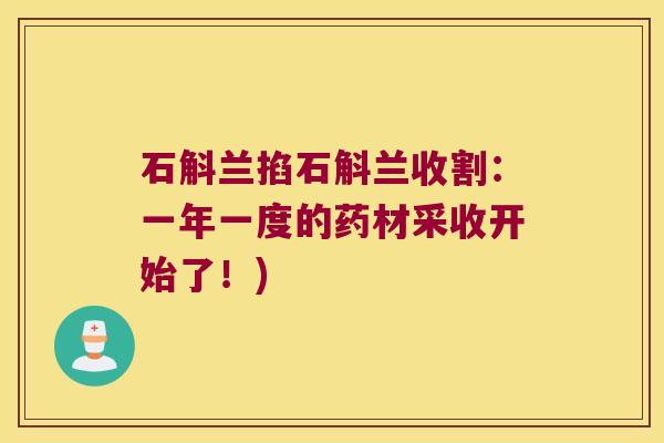 石斛兰掐石斛兰收割：一年一度的药材采收开始了！)