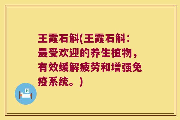 王霞石斛(王霞石斛：最受欢迎的养生植物，有效缓解疲劳和增强免疫系统。)