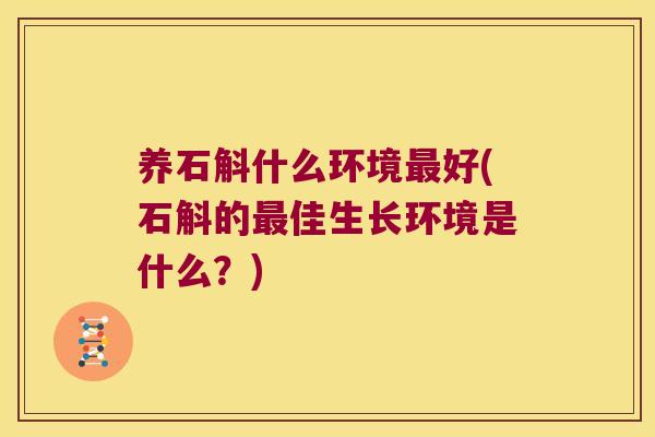 养石斛什么环境最好(石斛的最佳生长环境是什么？)