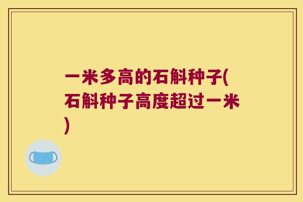 一米多高的石斛种子(石斛种子高度超过一米) 一米多高的石斛种子(石斛种子高度超过一米)