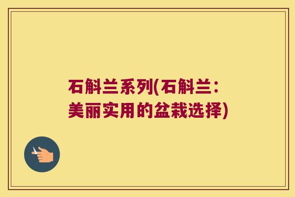 石斛兰系列(石斛兰：美丽实用的盆栽选择)