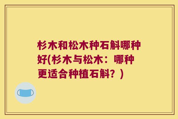 杉木和松木种石斛哪种好(杉木与松木：哪种更适合种植石斛？)