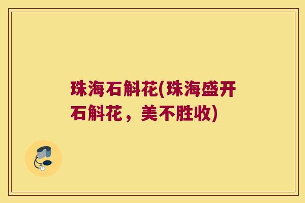 珠海石斛花(珠海盛开石斛花，美不胜收)
