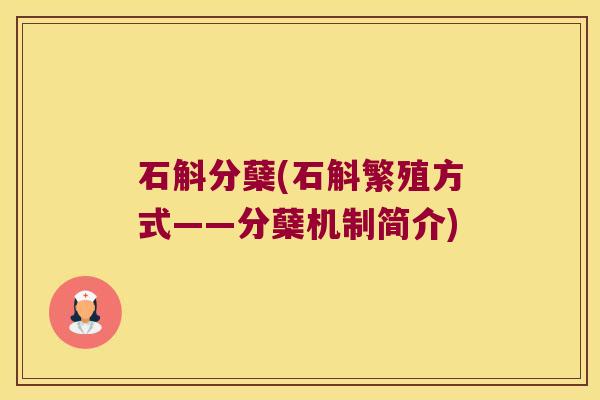 石斛分蘖(石斛繁殖方式——分蘖机制简介) 石斛分蘖(石斛繁殖方式——分蘖机制简介)