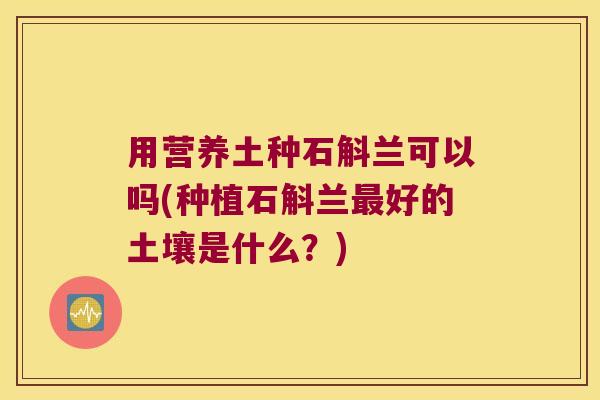 用营养土种石斛兰可以吗(种植石斛兰最好的土壤是什么？)