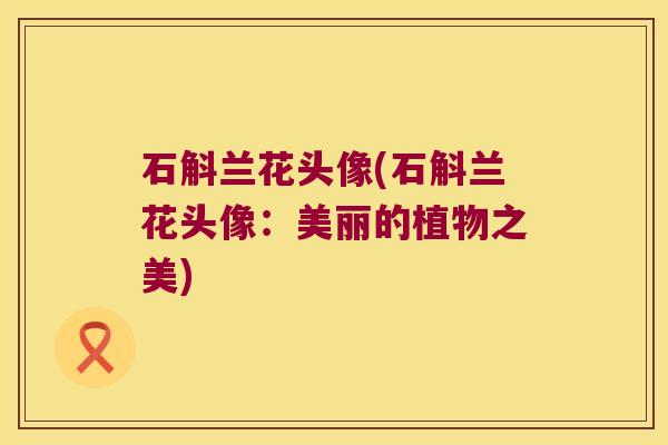 石斛兰花头像(石斛兰花头像：美丽的植物之美)