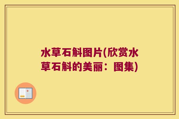 水草石斛图片(欣赏水草石斛的美丽：图集)