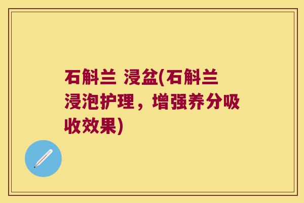 石斛兰 浸盆(石斛兰浸泡护理，增强养分吸收效果)