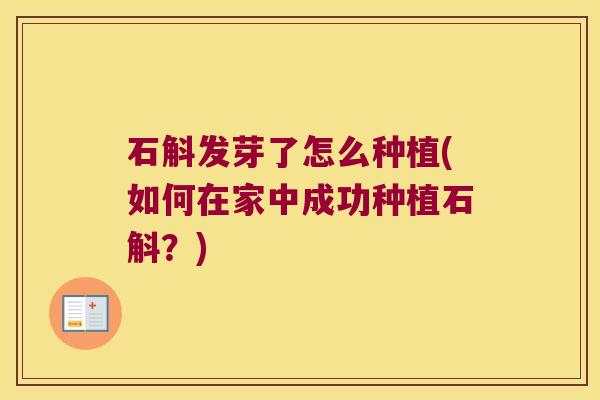 石斛发芽了怎么种植(如何在家中成功种植石斛？)