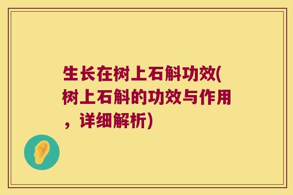 生长在树上石斛功效(树上石斛的功效与作用，详细解析)