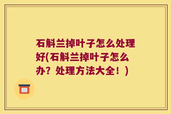 石斛兰掉叶子怎么处理好(石斛兰掉叶子怎么办？处理方法大全！)