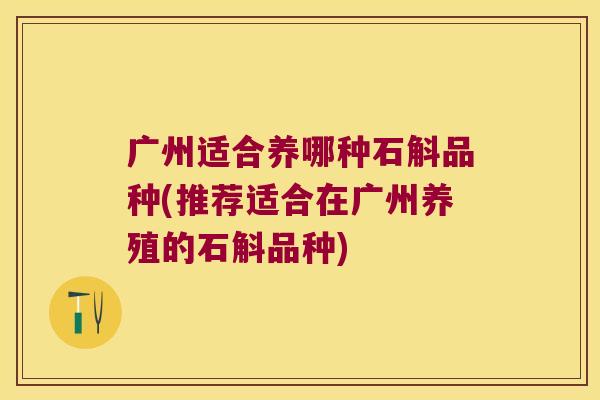 广州适合养哪种石斛品种(推荐适合在广州养殖的石斛品种)