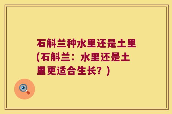 石斛兰种水里还是土里(石斛兰：水里还是土里更适合生长？)