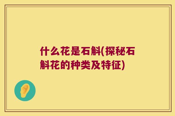 什么花是石斛(探秘石斛花的种类及特征)