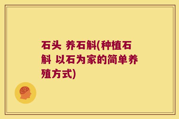 石头 养石斛(种植石斛 以石为家的简单养殖方式)