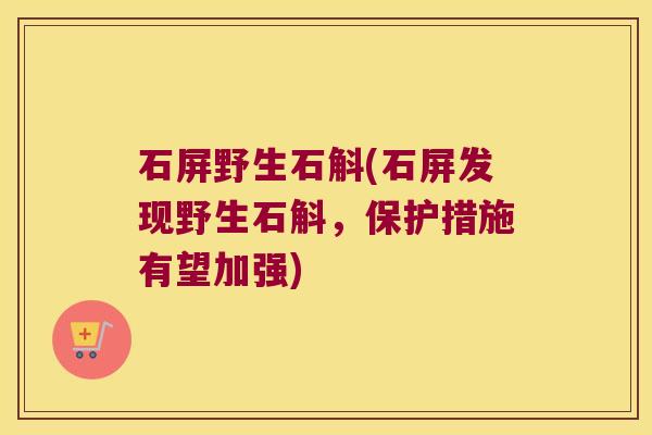 石屏野生石斛(石屏发现野生石斛，保护措施有望加强)