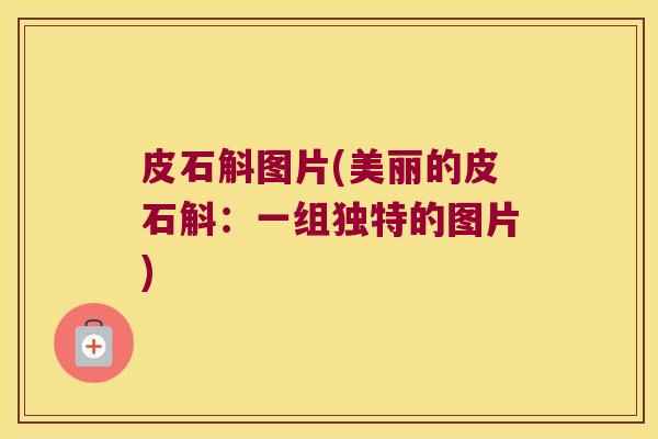 皮石斛图片(美丽的皮石斛：一组独特的图片)