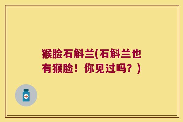 猴脸石斛兰(石斛兰也有猴脸！你见过吗？)