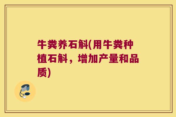 牛粪养石斛(用牛粪种植石斛，增加产量和品质)