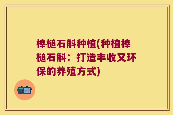棒槌石斛种植(种植棒槌石斛：打造丰收又环保的养殖方式)
