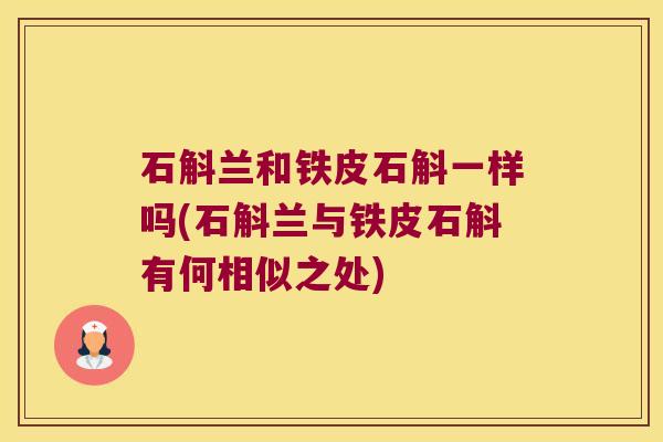 石斛兰和铁皮石斛一样吗(石斛兰与铁皮石斛有何相似之处)