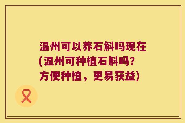 温州可以养石斛吗现在(温州可种植石斛吗？方便种植，更易获益)