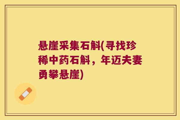 悬崖采集石斛(寻找珍稀中药石斛，年迈夫妻勇攀悬崖)