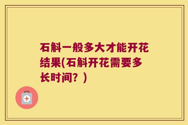 石斛一般多大才能开花结果(石斛开花需要多长时间？)