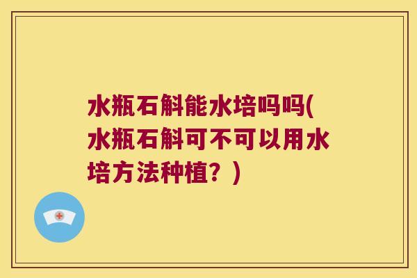 水瓶石斛能水培吗吗(水瓶石斛可不可以用水培方法种植？)