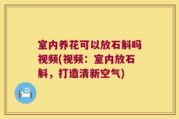 室内养花可以放石斛吗视频(视频：室内放石斛，打造清新空气)