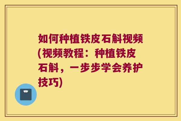 如何种植铁皮石斛视频(视频教程：种植铁皮石斛，一步步学会养护技巧)