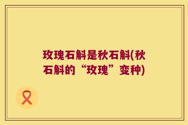 玫瑰石斛是秋石斛(秋石斛的“玫瑰”变种)