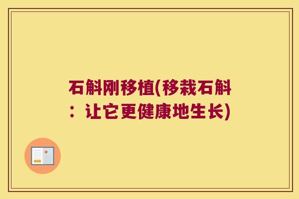 石斛刚移植(移栽石斛：让它更健康地生长)