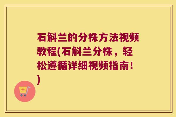 石斛兰的分株方法视频教程(石斛兰分株，轻松遵循详细视频指南！)