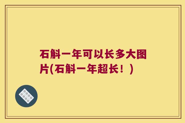 石斛一年可以长多大图片(石斛一年超长！)