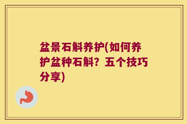 盆景石斛养护(如何养护盆种石斛？五个技巧分享)