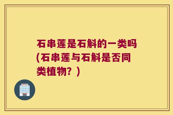 石串莲是石斛的一类吗(石串莲与石斛是否同类植物?) 石串莲是石斛的一类吗(石串莲与石斛是否同类植物?)