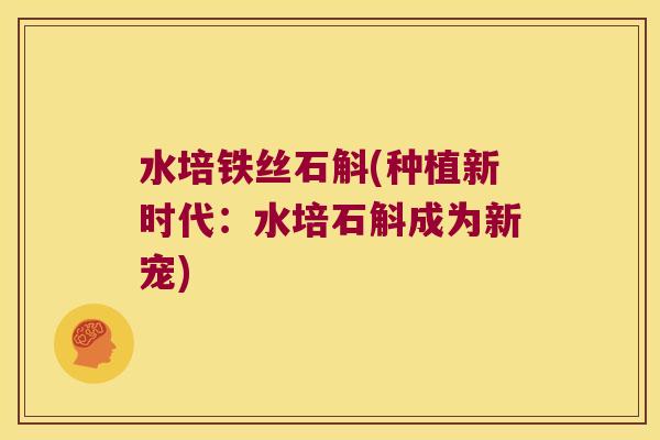 水培铁丝石斛(种植新时代:水培石斛成为新宠) 水培铁丝石斛(种植新时代:水培石斛成为新宠)