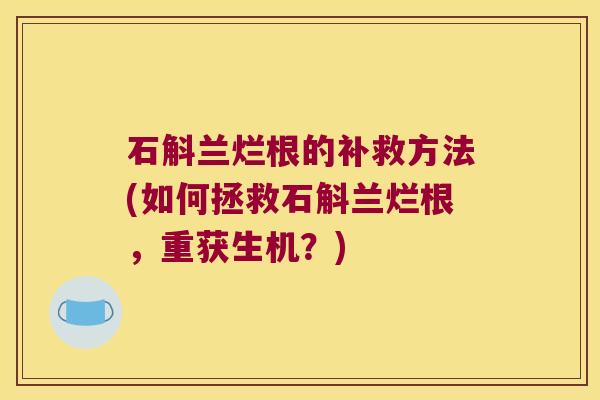 石斛兰烂根的补救方法(如何拯救石斛兰烂根,重获生机?) 石斛兰烂根的补救方法(如何拯救石斛兰烂根,重获生机?)