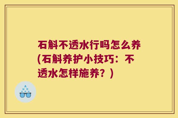 石斛不透水行吗怎么养(石斛养护小技巧：不透水怎样施养？)