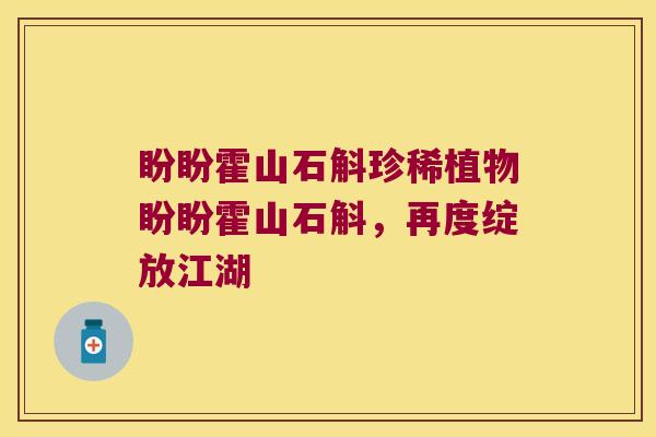 盼盼霍山石斛珍稀植物盼盼霍山石斛,再度绽放江湖 盼盼霍山石斛珍稀植物盼盼霍山石斛,再度绽放江湖